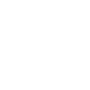 icono diploma